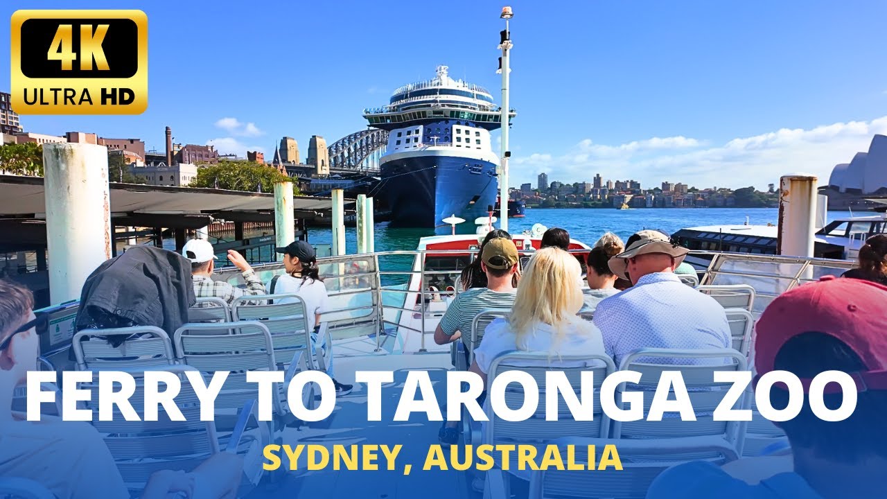 Riding Sydney Harbour Cruise going to Taronga Zoo! (Tickets, Seats, Views)