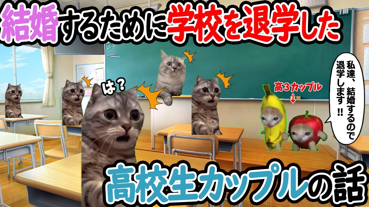 【ほぼ実話】結婚するために学校を退学した高校生カップルの話【猫ミーム】【猫マニ】