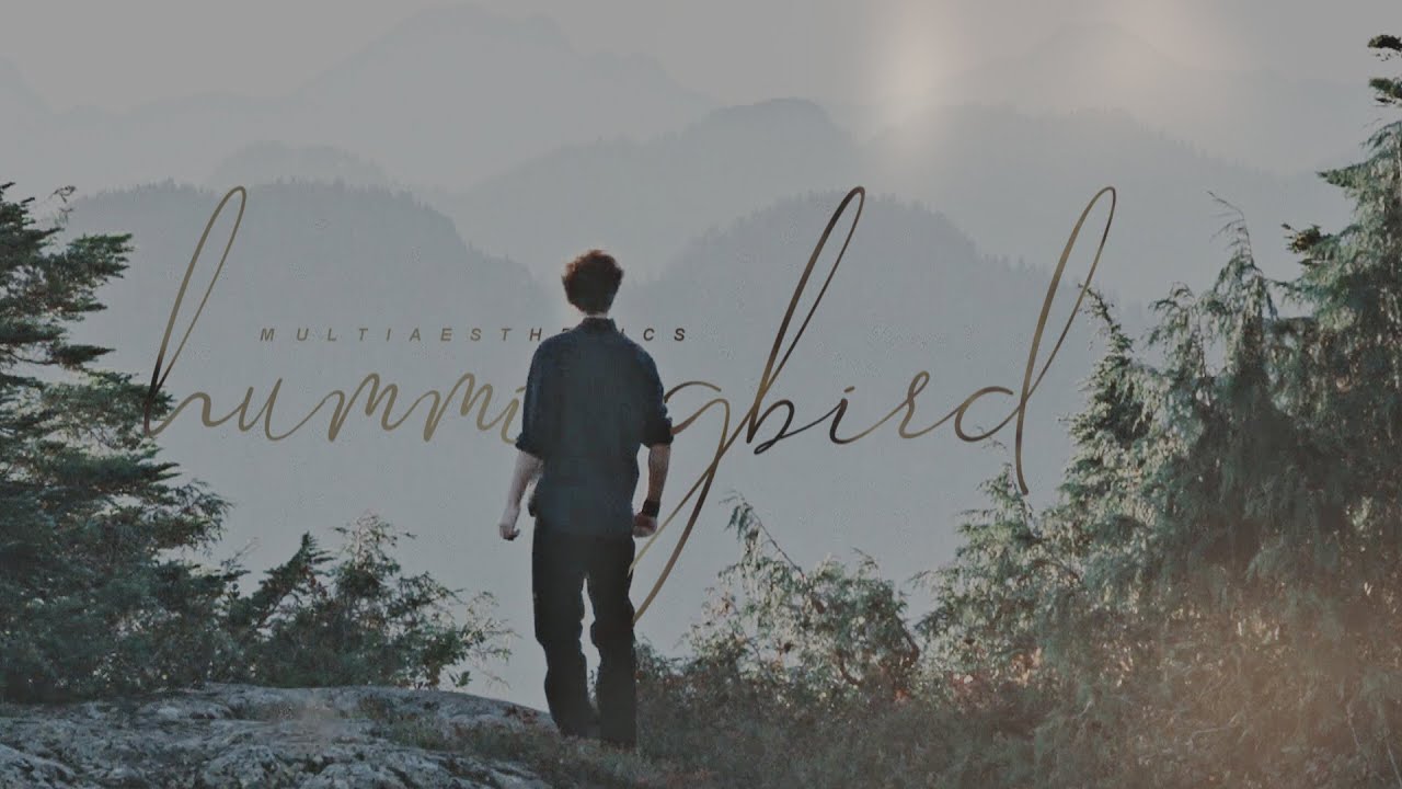multiaesthetic • hummingbird