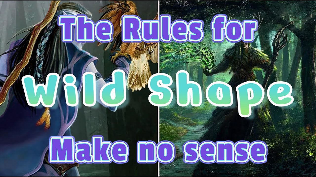 You don't know how Wild Shape works in D&D 5e (and neither do I)