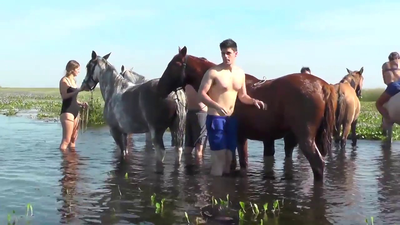 Cabalgata al fondo del Iberá