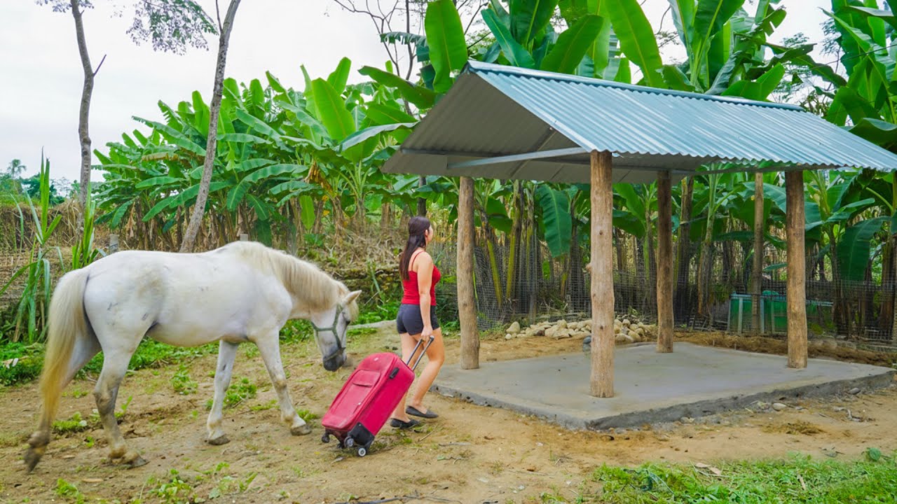 Building a Simple Horse Stable on the Farm - From Foundation to Finish. Ly Hieu Hieu's