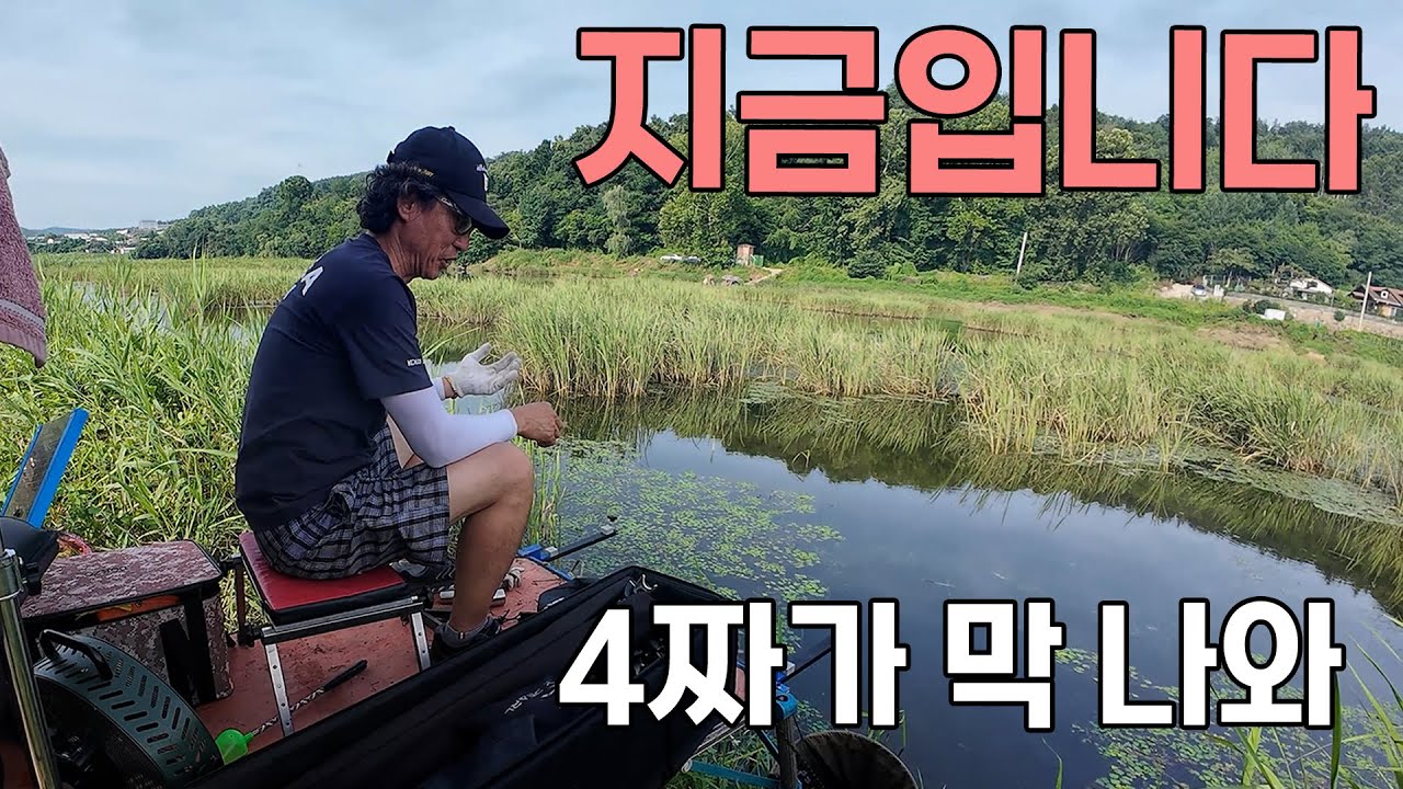 지금입니다 4짜가 막 튀어나오는 붕어낚시