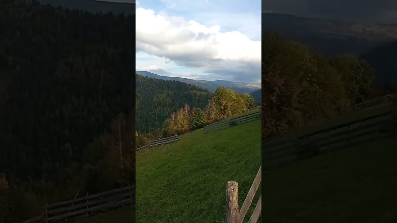 Muntii Apuseni , Transursoaia