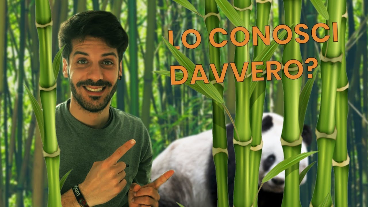 Una pianta TERRITORIALE!  | Quanto è infestante...il BAMBOO?!?