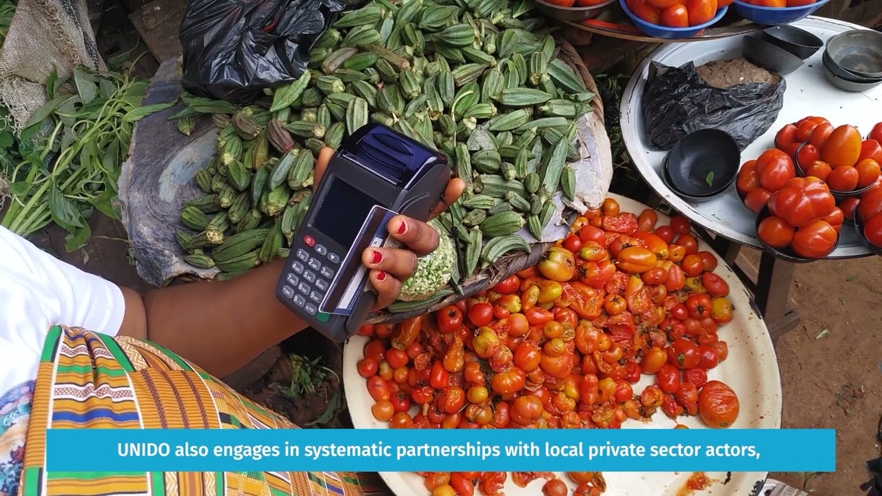 UNIDO and the LDcs: mobilizing international solidarity