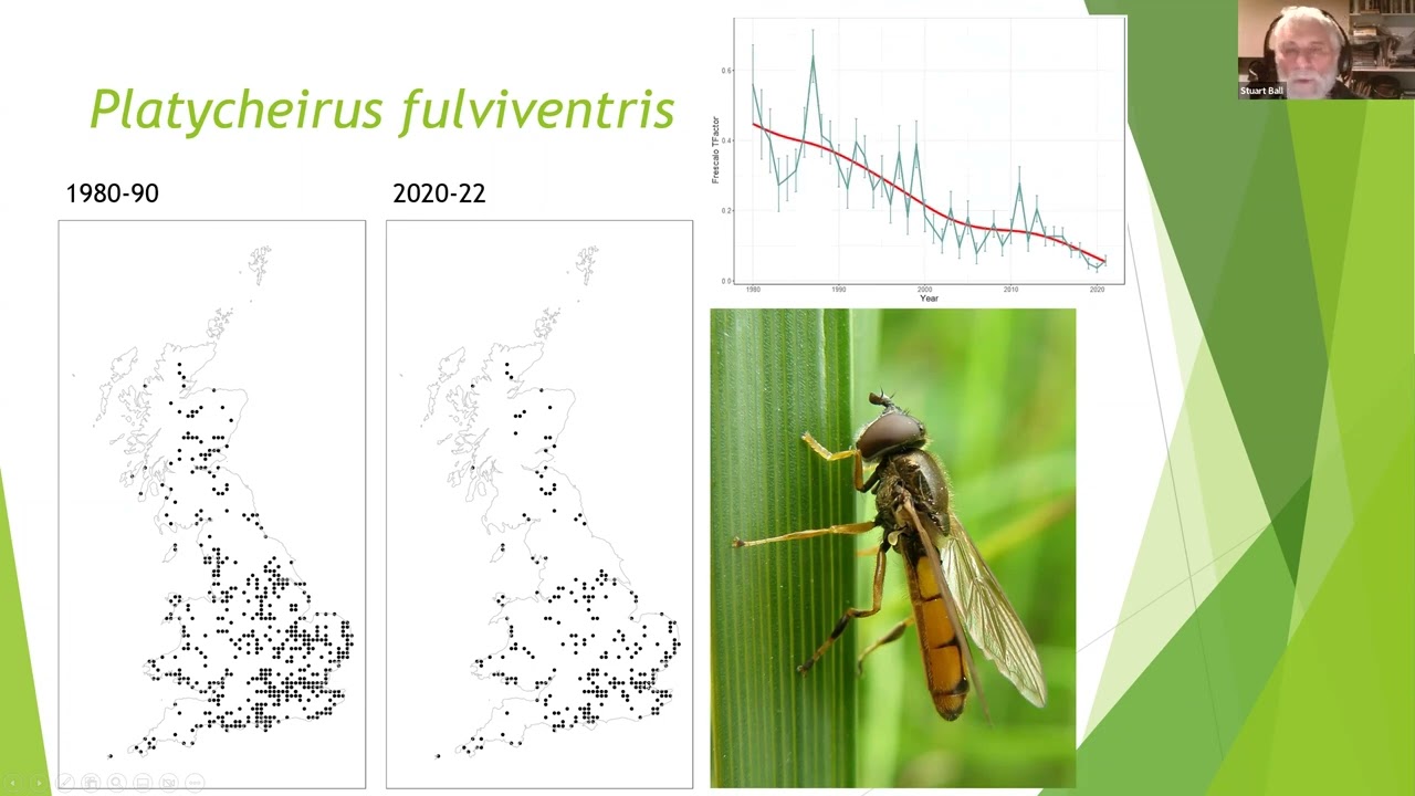 Analysing hoverfly records & identifying trends