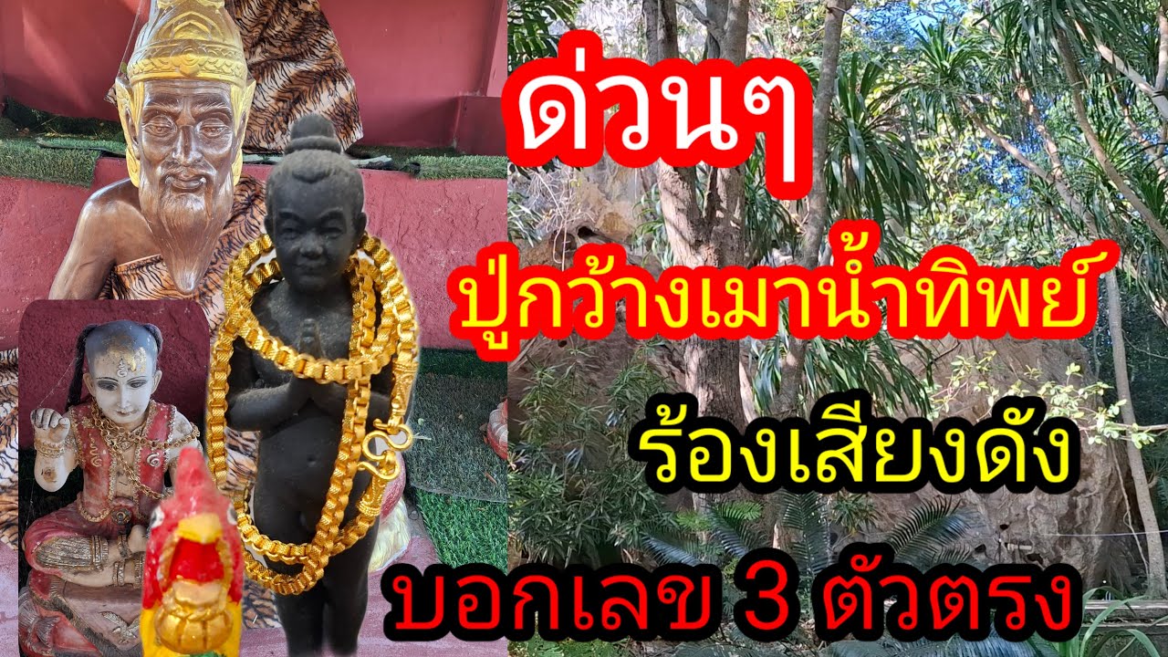 พ่อไสวพารวย.. channel กำลังถ่ายทอดสด! ปลูกขว้างเมาน้ำทิพย์ร้องลั่นบอก 3 ตัวตรง