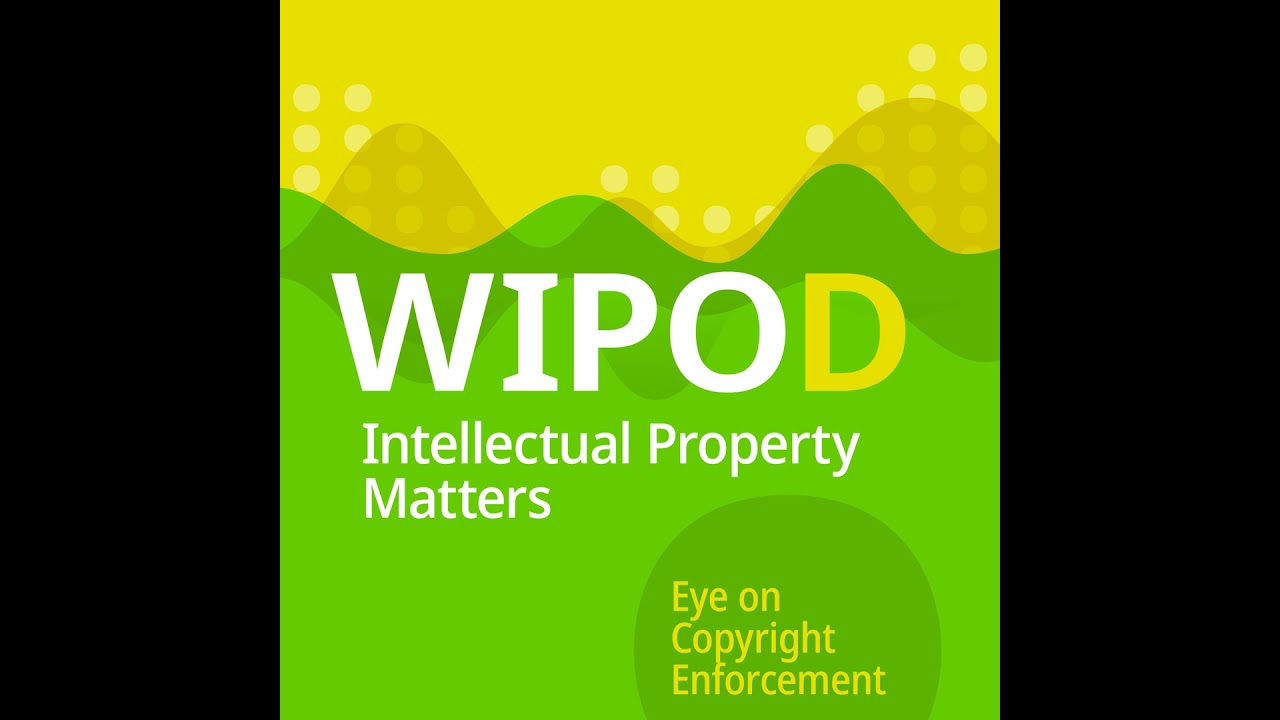 Eye on Copyright Enforcement Episode 2: The Megaupload Saga