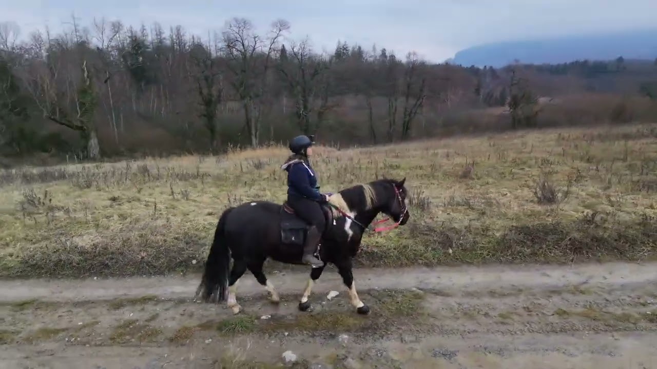 Balade au top ! Début en jeux à pied. Puis grand air, grands espaces et galop de pur bonheur 🐴💫