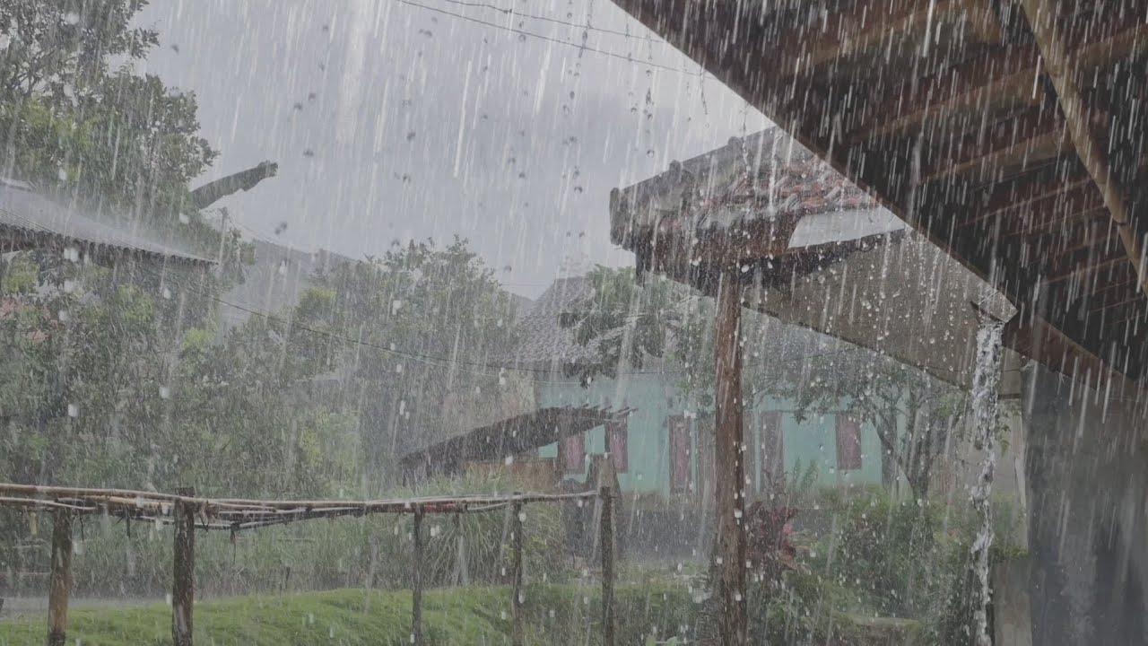Heavy rain and strong winds hit my village, a calm atmosphere for sleeping and meditation, ASMR