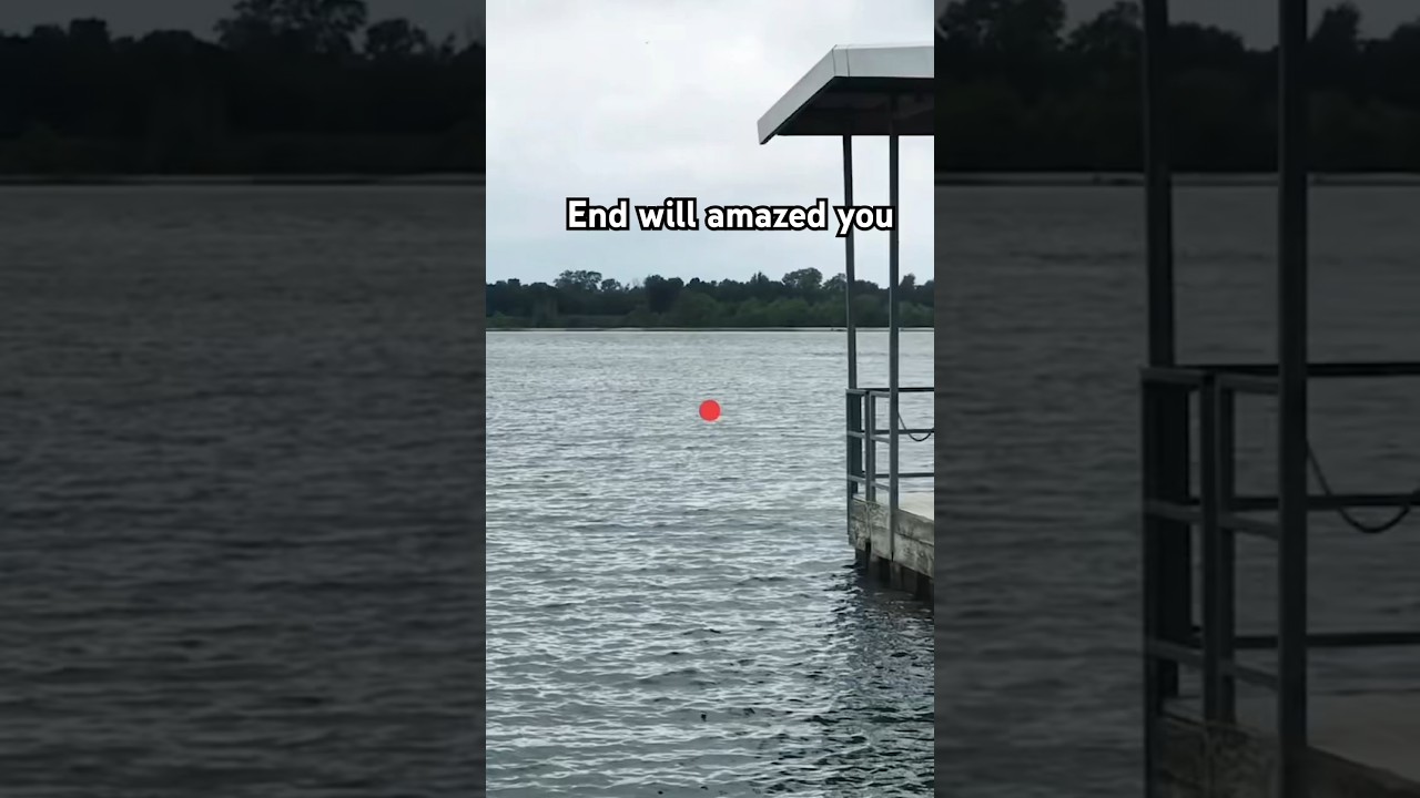 damn this is amazing . 😅😅😅 #funny  #funnyshorts #comedyvideos #highlightvideos