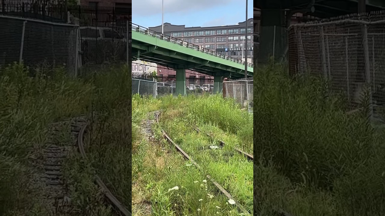 The South Brooklyn Railway W/ Overgrown Grass. Yes, these tracks are still in use, 3 times a month.