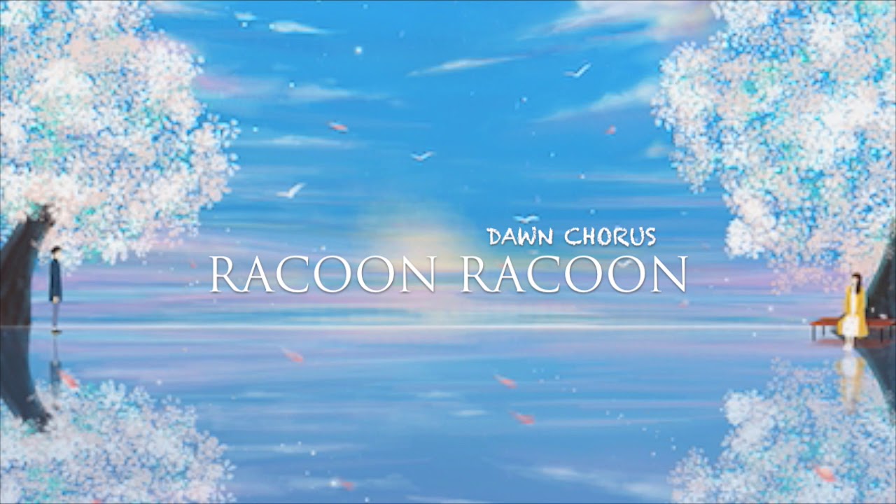 Racoon Racoon - Dawn Chorus (Lyrics)