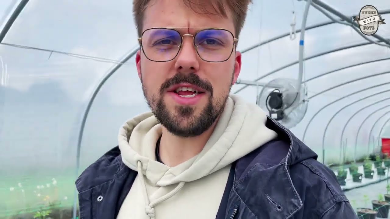 uprawa chwast&oacute;w w tunelu, serio?