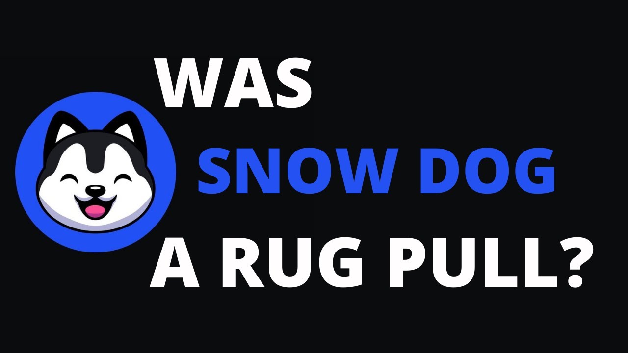 Was SnowDog DAO a Rug Pull?