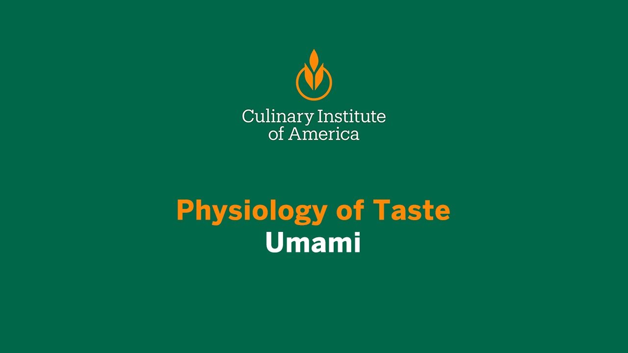 Physiology of Taste: Umami