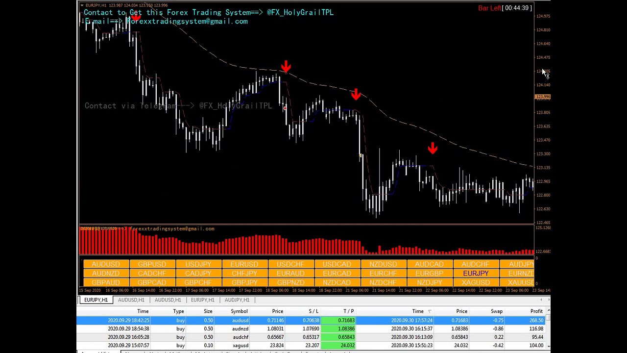 Forex Holy Grail Strategy