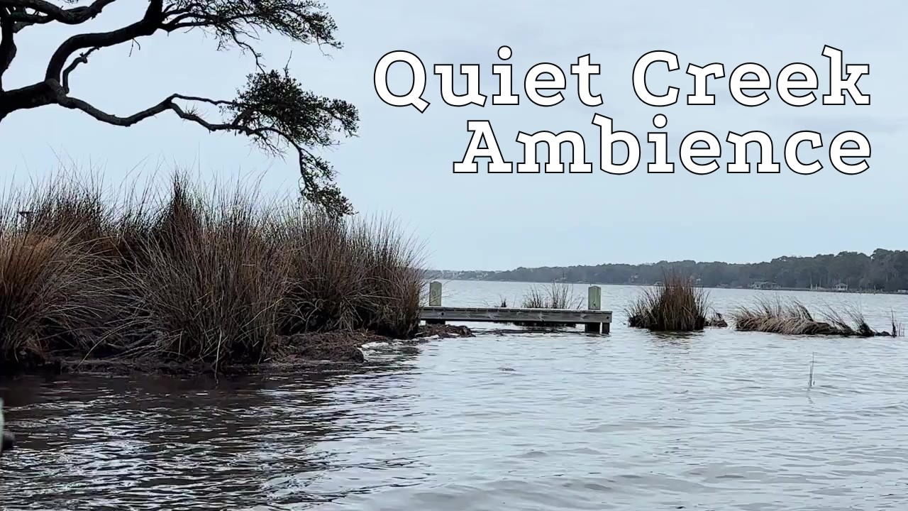 Waves Through the Grasses at Jean Guite Creek | 1 Hour of Quiet Outer Banks Ambience