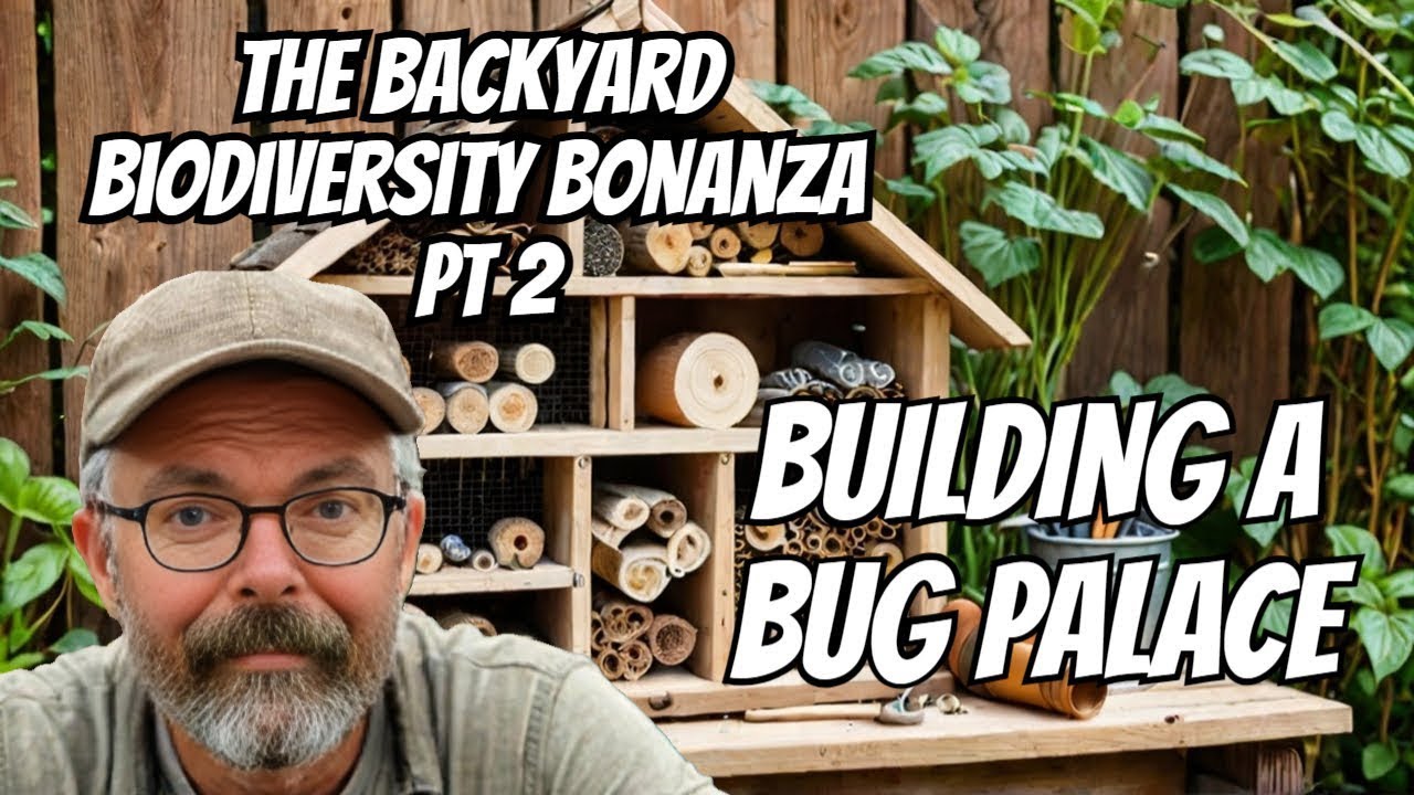 Why You Should Build a Bug Hotel (DIY Garden Project)