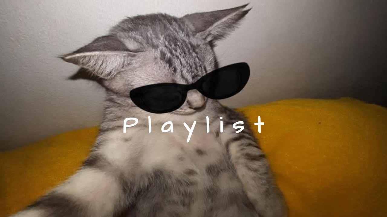 𝐏𝐥𝐚𝐲𝐥𝐢𝐬𝐭 느좋 다 때려 넣은, 요즘 유행하는 Chill 팝송 모음 🤍🎧 | chill r&b · moody vibes