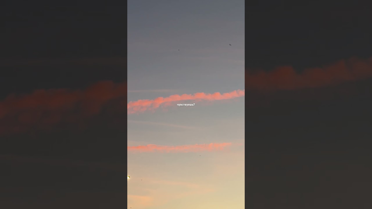 это не про тренд, а про тебя 🤍 