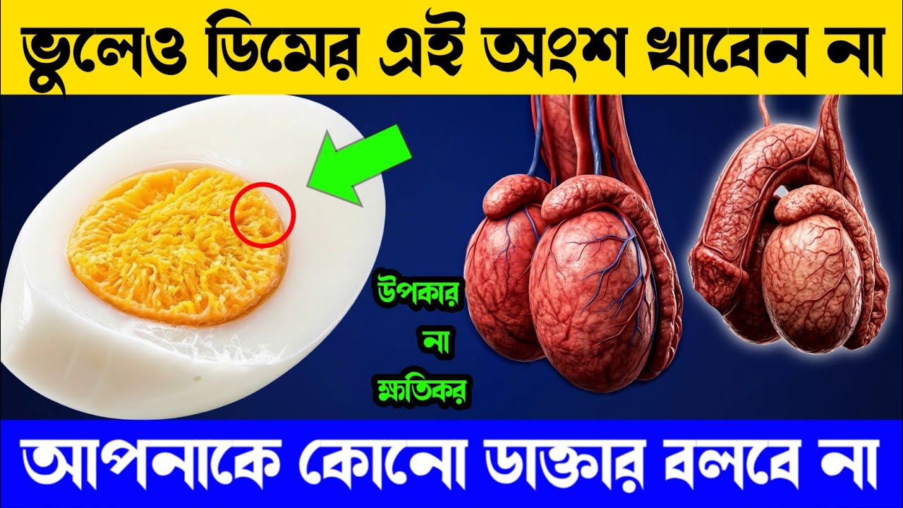ডিম খাওয়ার সময় এই ৫টি মারাত্মক ভুল শরীর নষ্ট করছে | 5  Mistakes People Make When Eating Eggs |