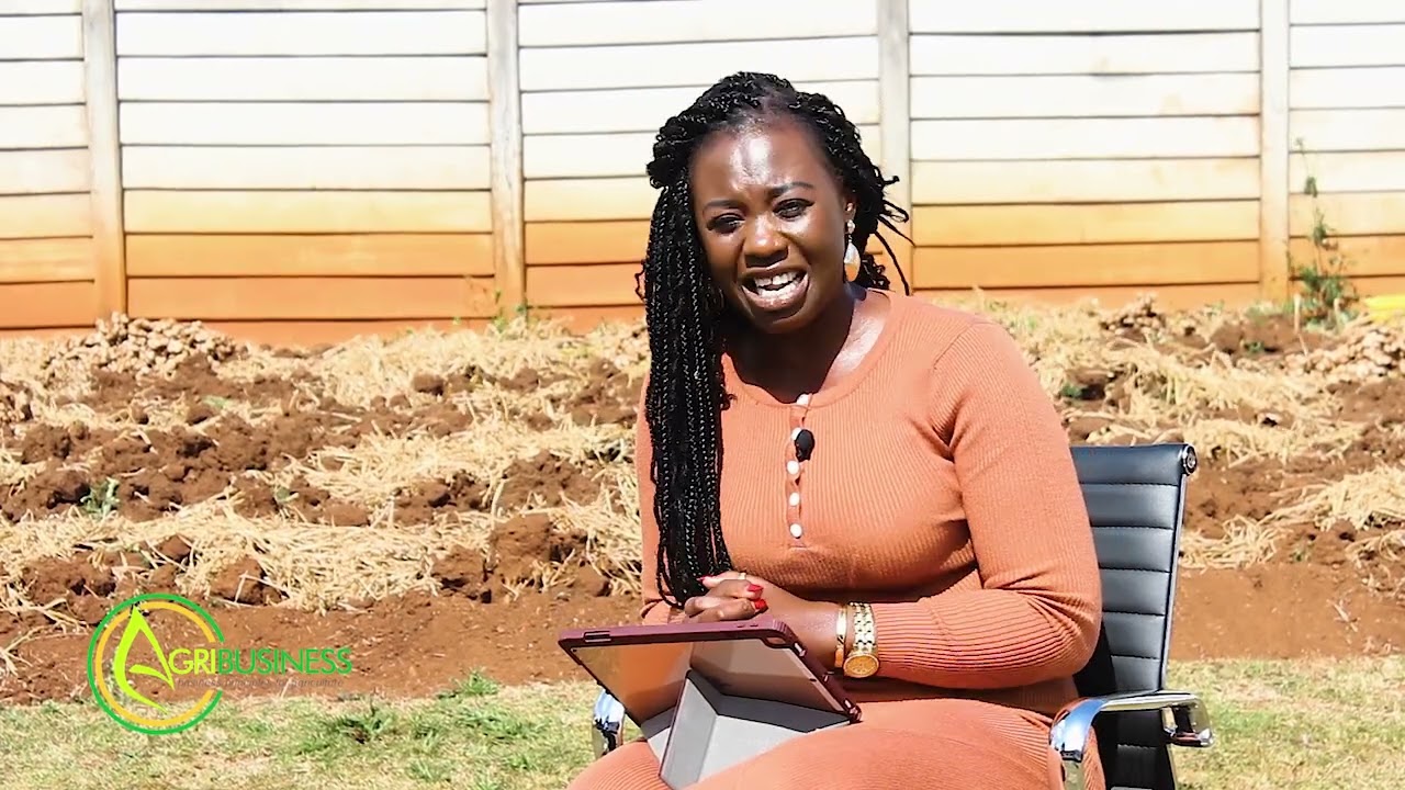 RURAL DEVELOPMENT through Agriculture in Zimbabwe