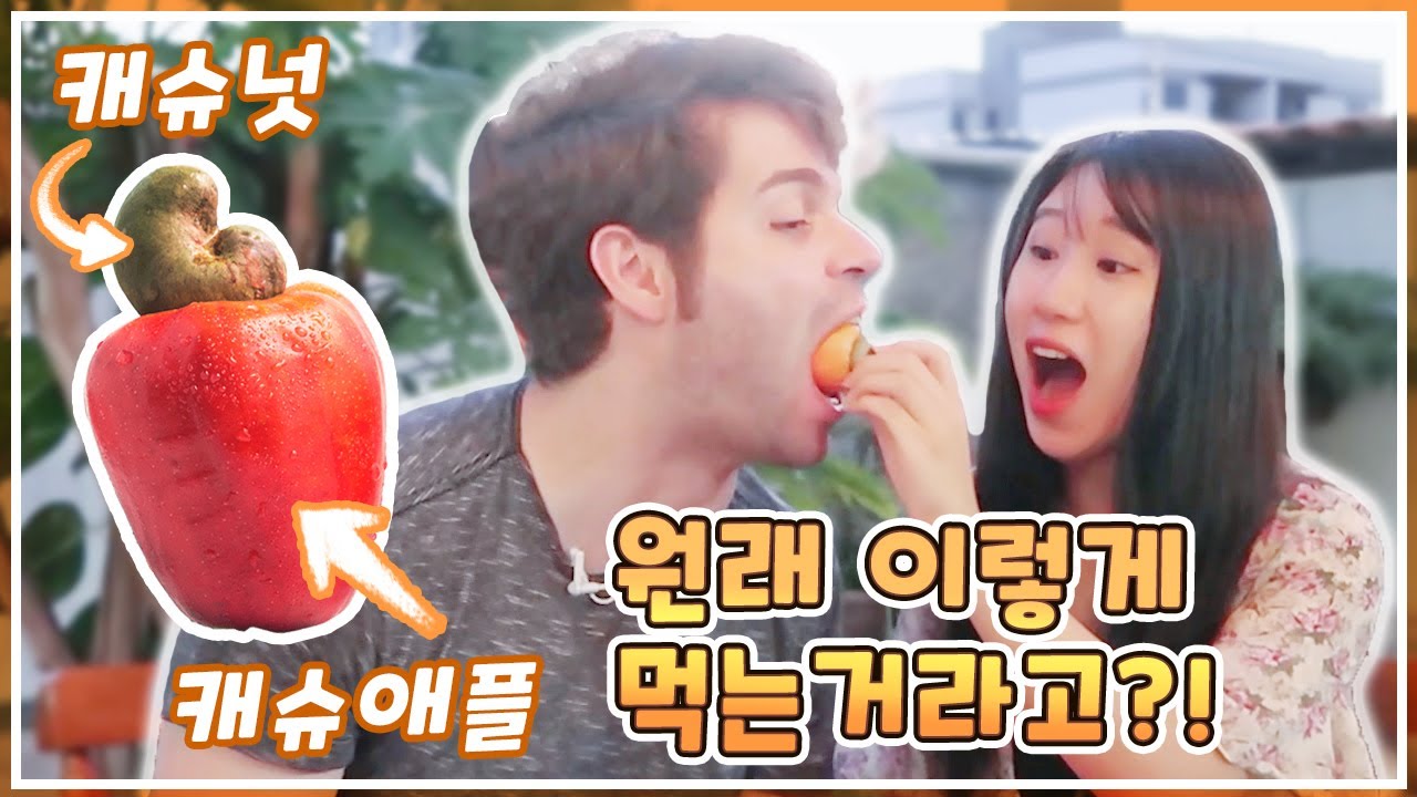 한국인 10명중 9명은 모르는 캐슈넛의 진짜 정체!😲 브라질에서 제대로 먹어본 '캐슈애플'의 맛은? | 신비한 브라질 과일사전 | 국제커플 브이로그