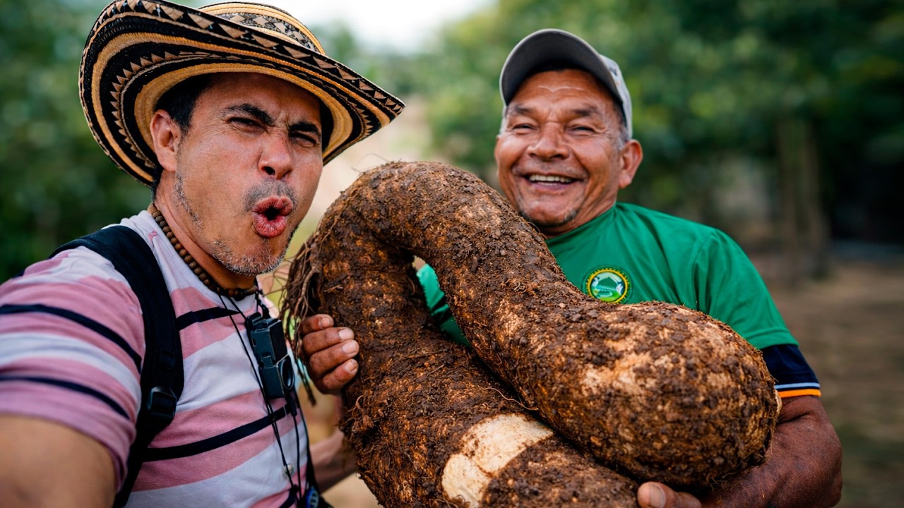 Conociendo los Cultivos de ÑAME en BOMBA y Probe platos Tipicos de Ñame