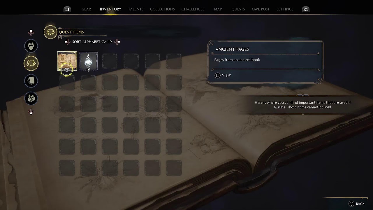 Hogwarts Legacy_for
