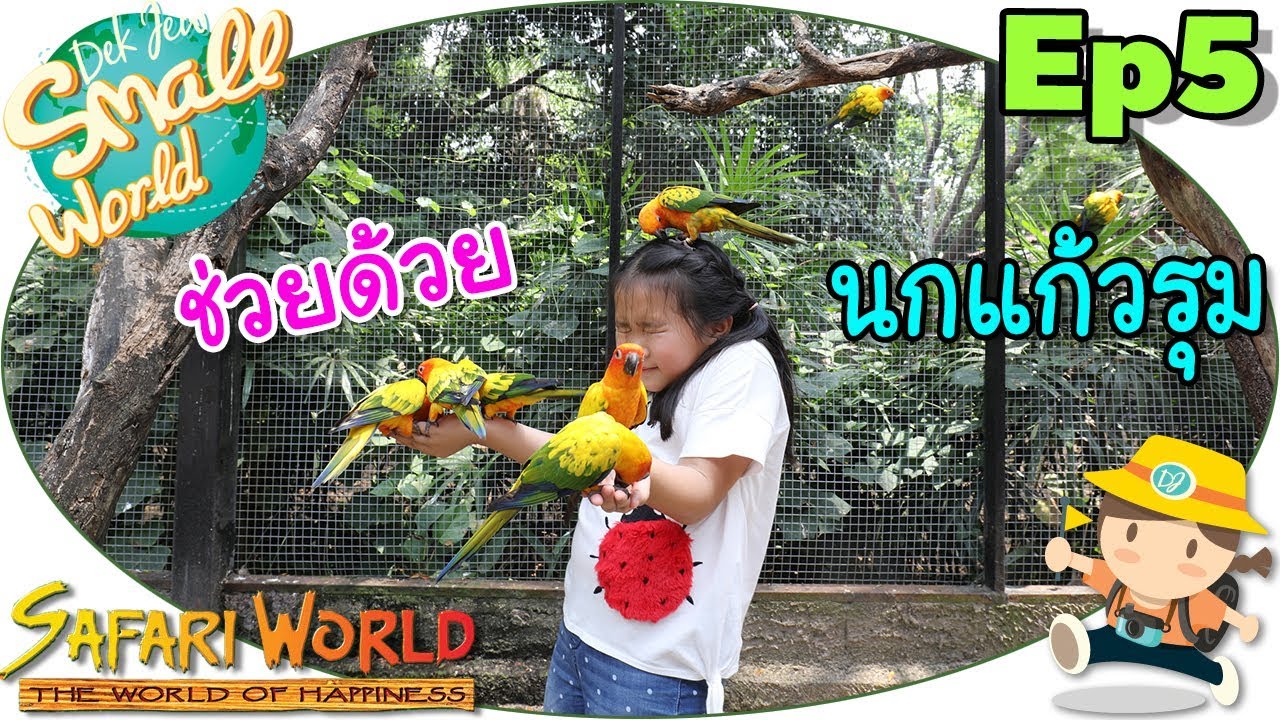 ช่วยด้วย เด็กจิ๋วโดนนกแก้วรุม (ซาฟารีเวิลด์ Ep5)