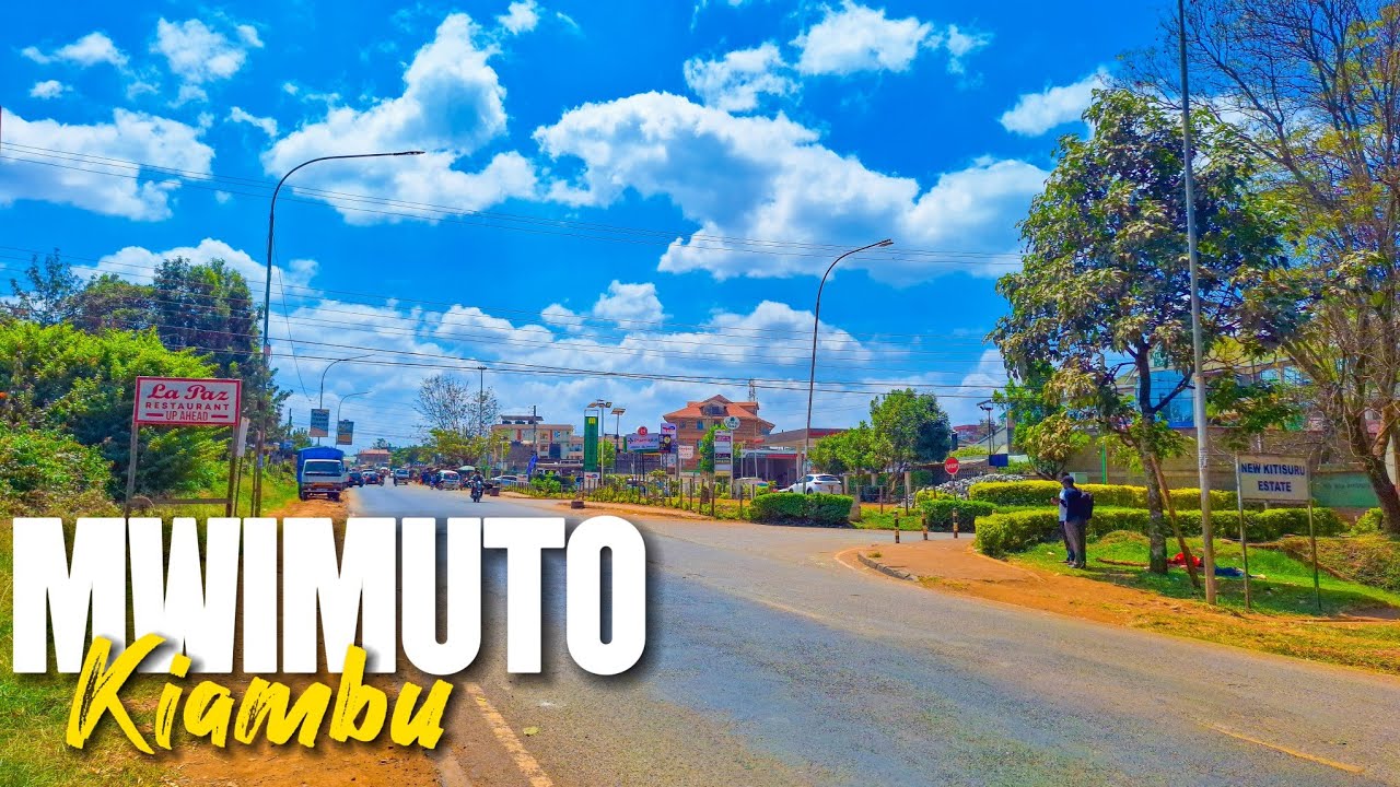 Affordable, Strategic & Green! Why Mwimuto is the Next Big Thing!🇰🇪