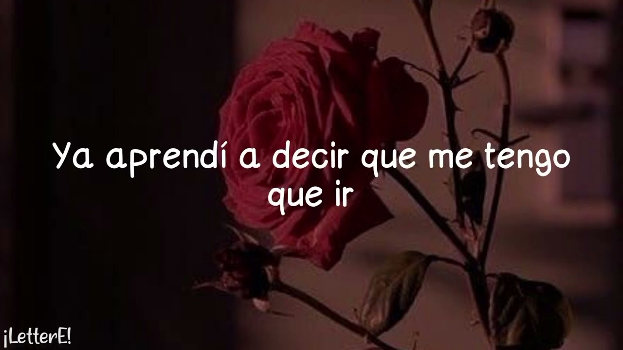 Aitana - La última ( Letra / Lyrics )