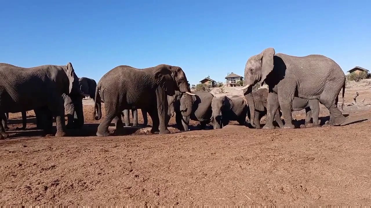 BOTSWANA: Where to Stay, What to See