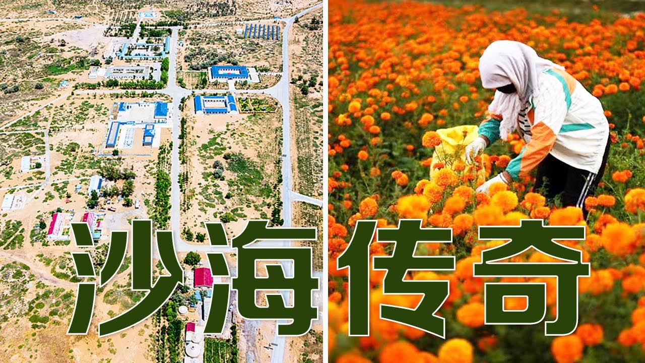 这是中国唯一被两大沙漠三面包围的西部城市，曾被预言会成为第二个“死亡之海”，如今怎么样了？| LIVE NOW