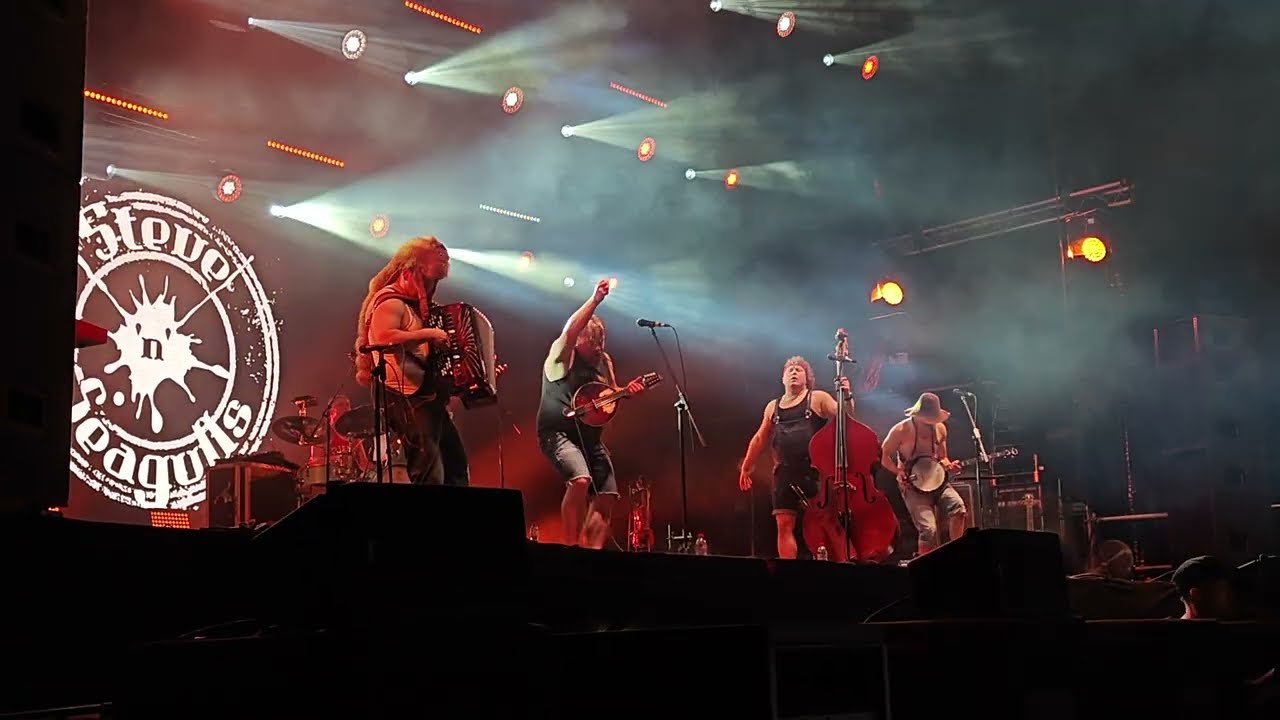 Steve 'n' Seagulls - Run to the Hills (live @ 3-majówka Wrocław 02.05.2024)