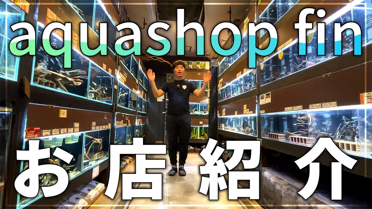 Aquashop finお店紹介
