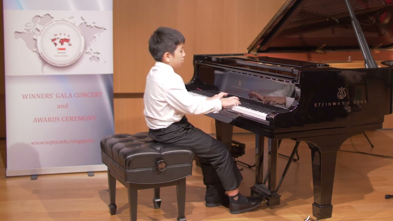 Sonata in G major by Haydn — Qianmo Wang
