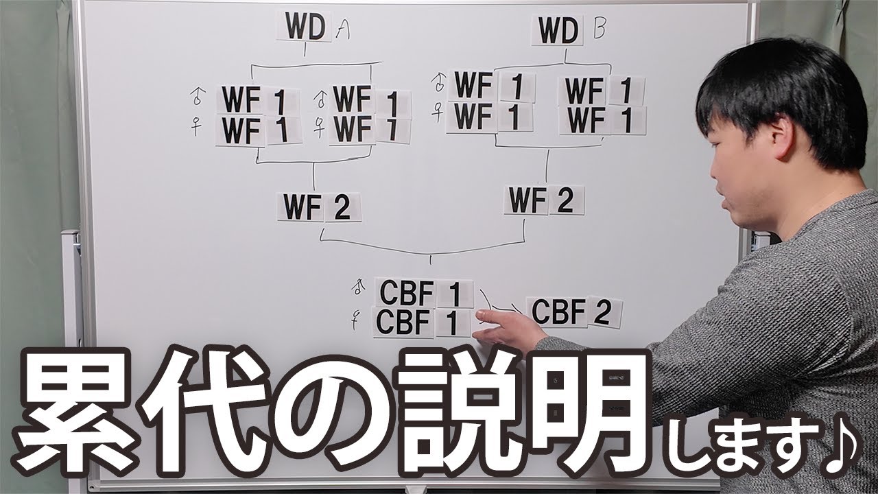 【累代の説明】累代について、詳しく解説していきます♪