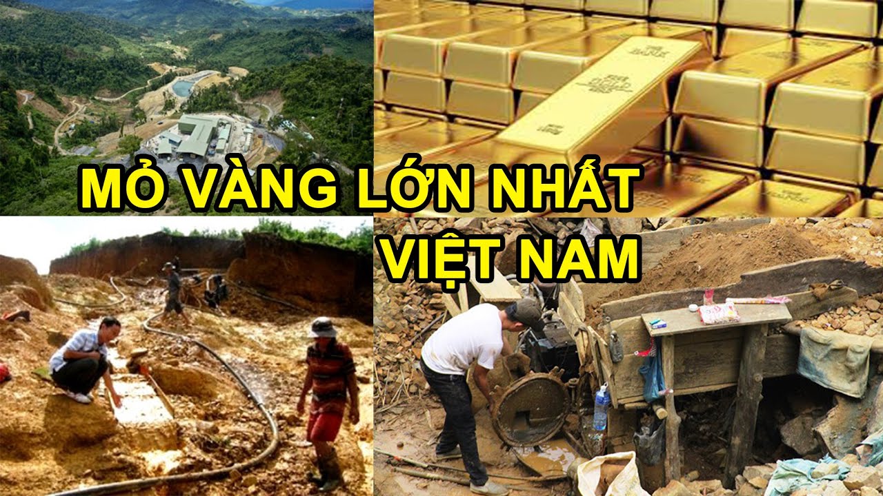 5 Mỏ Vàng lớn nhất ở Việt Nam | Go Vietnam ✔