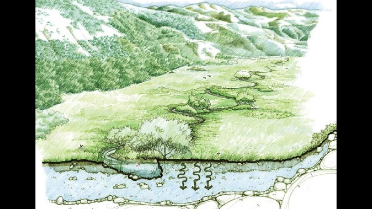 Mountain Meadows and How to Create an Infographic