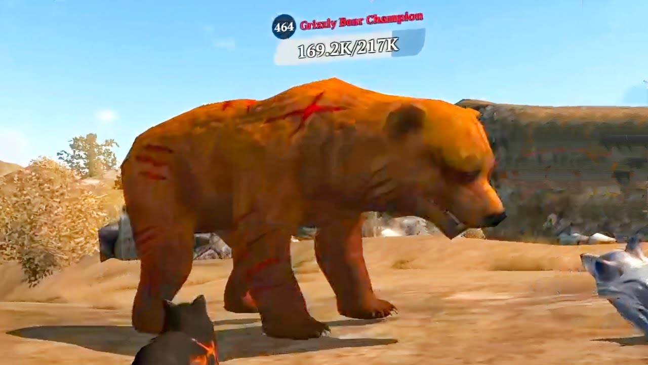 The Wolf - Grizzly Bear Champion 🏆