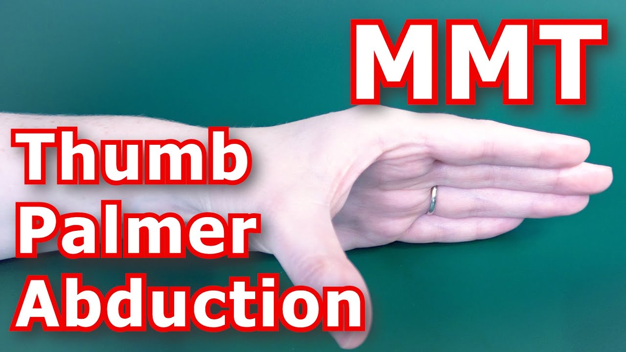 Manual Muscle Testing (MMT) - Thumb Palmer Abduction