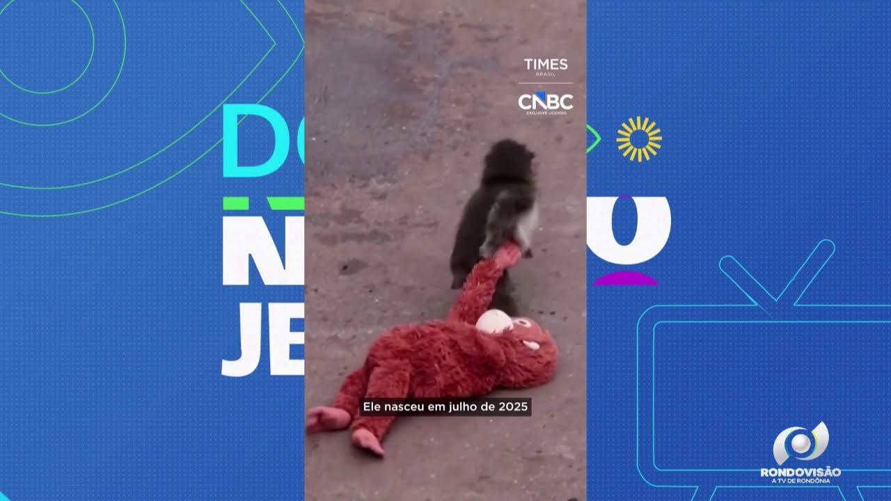 PROGRAMA DO NOSSO JEITO