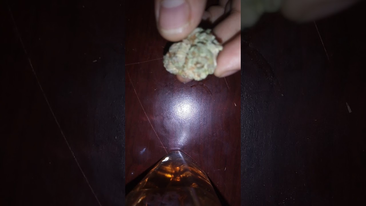 G OF PURPLE PANTY DROPPER