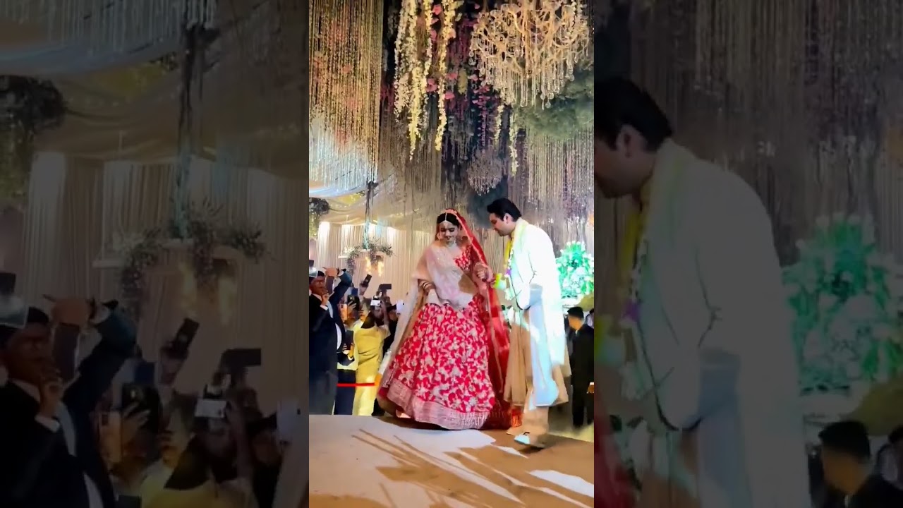 Akash Anand bhaiya ko Congratulations #bsp #uttarpradesh