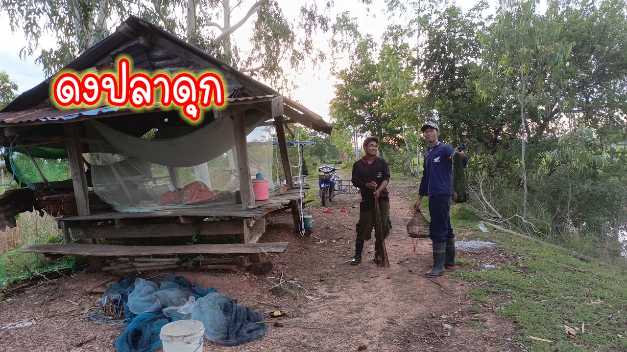 เหลือเชื่อ!! ปลาดุกเยอะจริงๆ นอนนาใส่เบ็ด เหยื่อเด็ดพิชิตปลาดุก