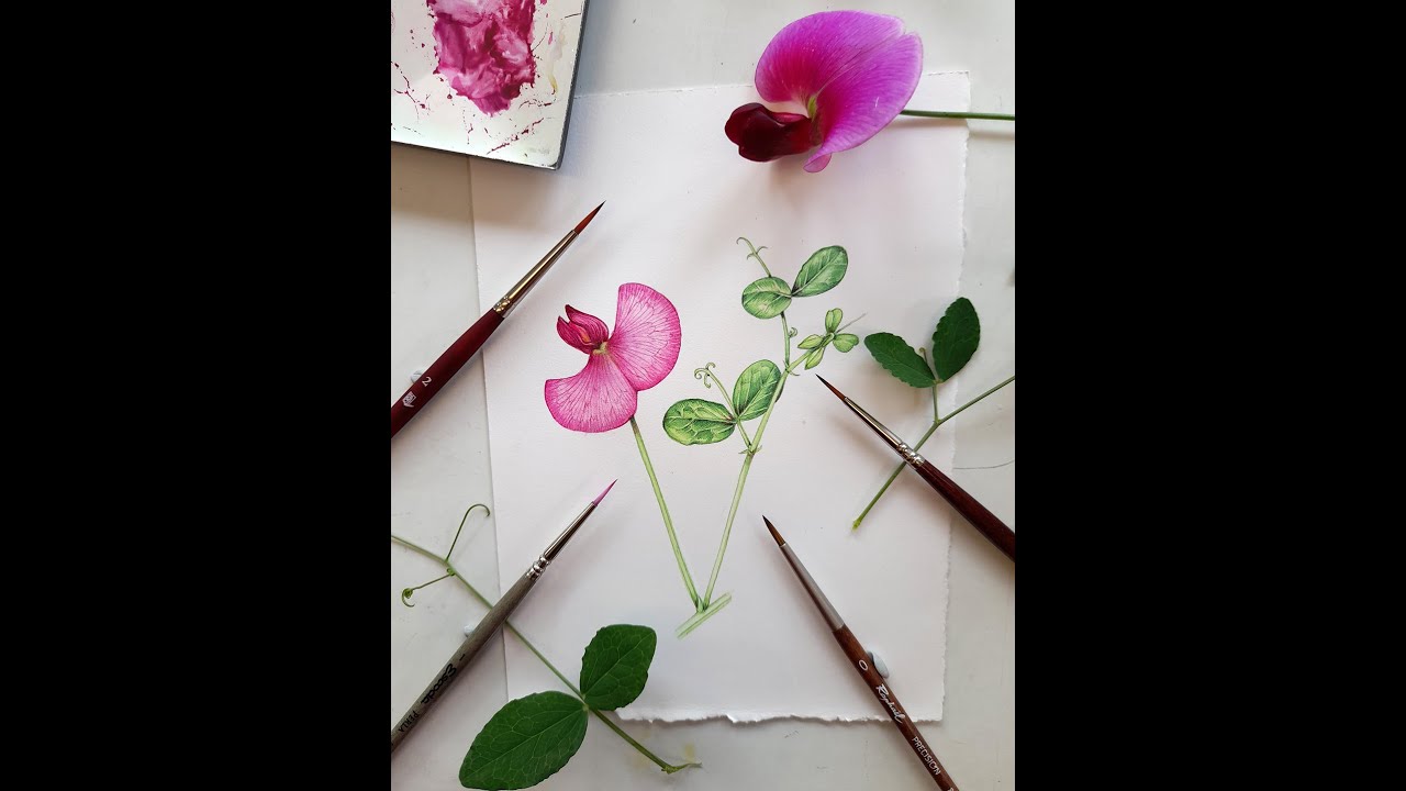 Comparing Synthetic Watercolour brushes part 5   The Final Episode