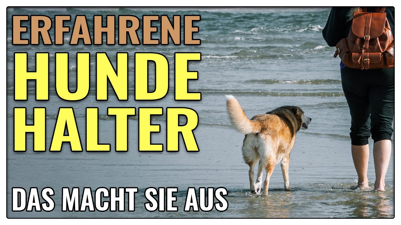 Hundeerfahrung - Was bedeutet das für mich?- TGH 388